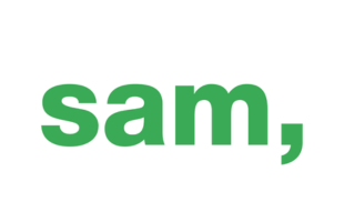 association for professionals in the public social domain (sam)
